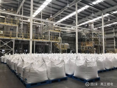 走進天齊張家港生產(chǎn)基地 波創(chuàng)電氣實地評估智能制造新風貌